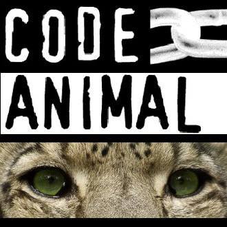 Cirques : le bilan de Code animal