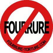 Le bilan de Fourrure Torture