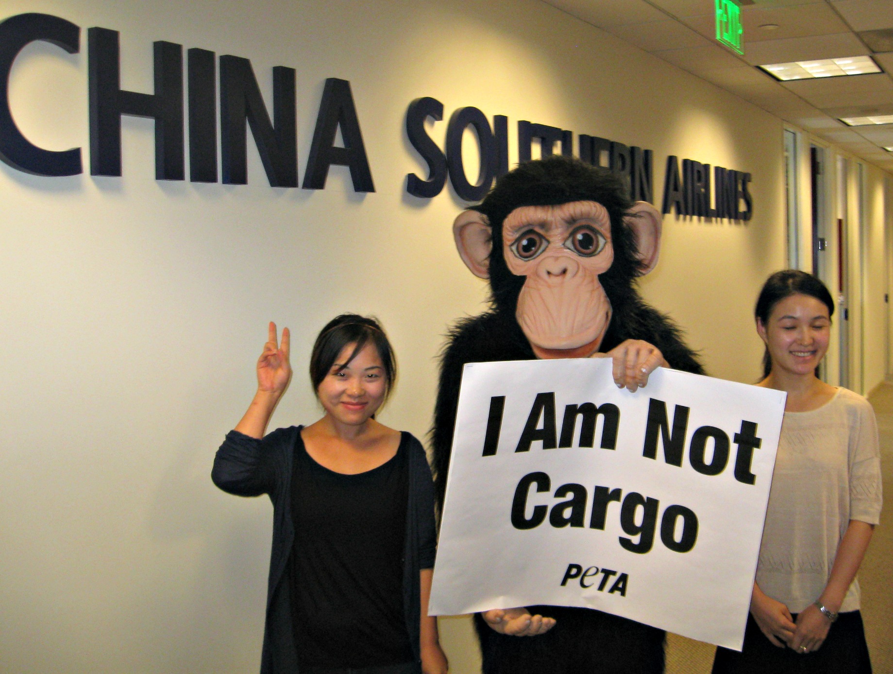 China Southern Airlines : stop au transport des primates !