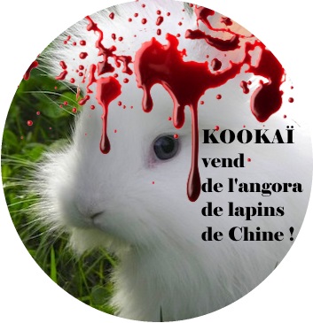 De l’angora de lapin de Chine chez Kookaï