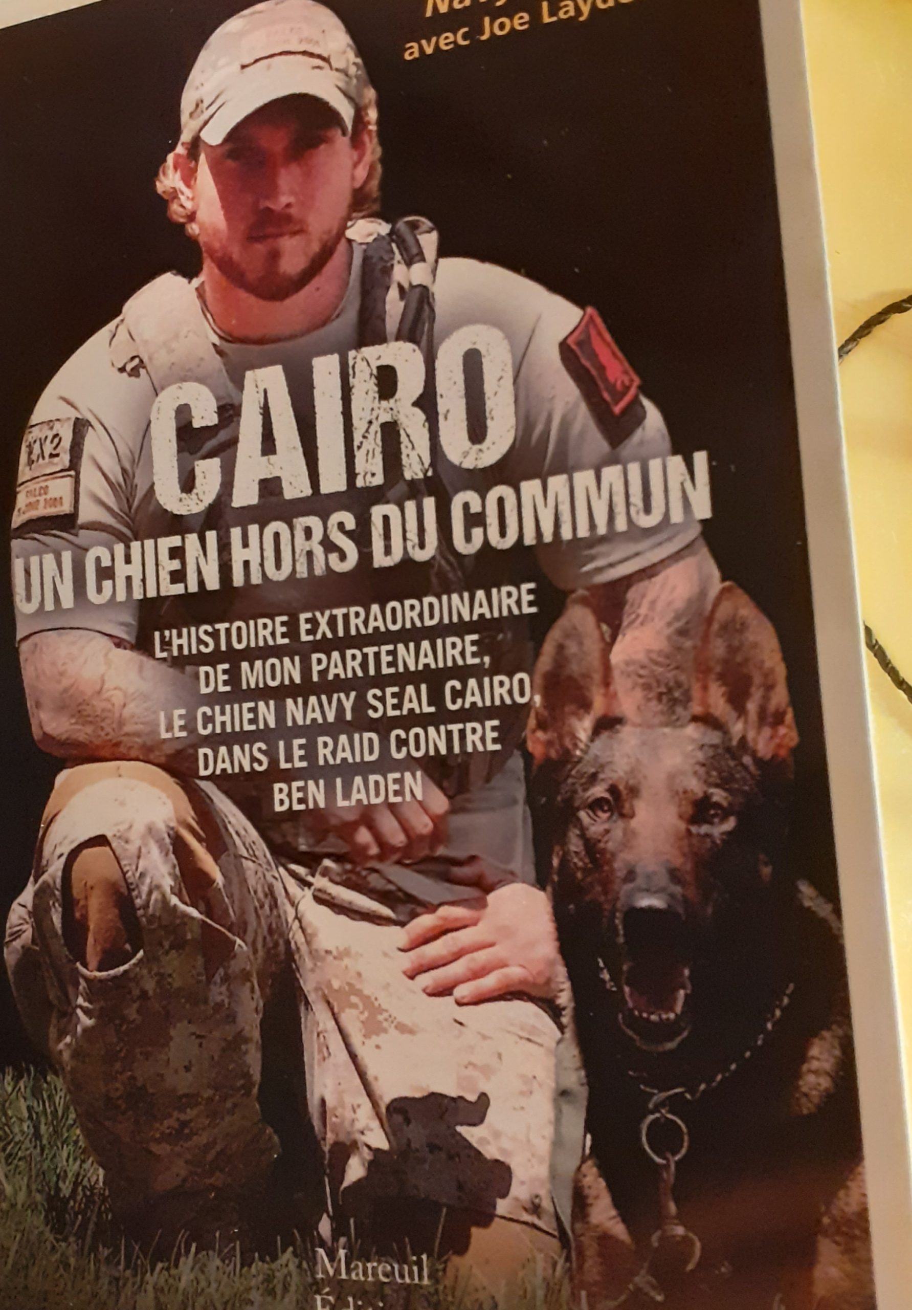 Cairo, chien d’élite… et élite